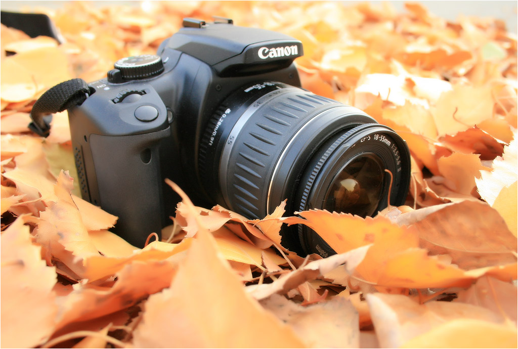 Предметная съемка - Стоковая фотография - Canon EOS400D