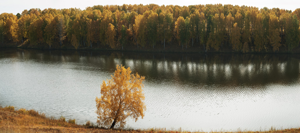 Один день в раю (фотосессия в полях) - Осенняя панорма на живописное озеро
