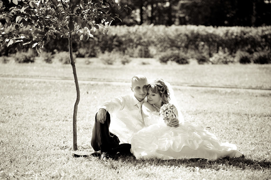 Свадьбы - Сезон 2011 - Жених и невеста сидят под деревом