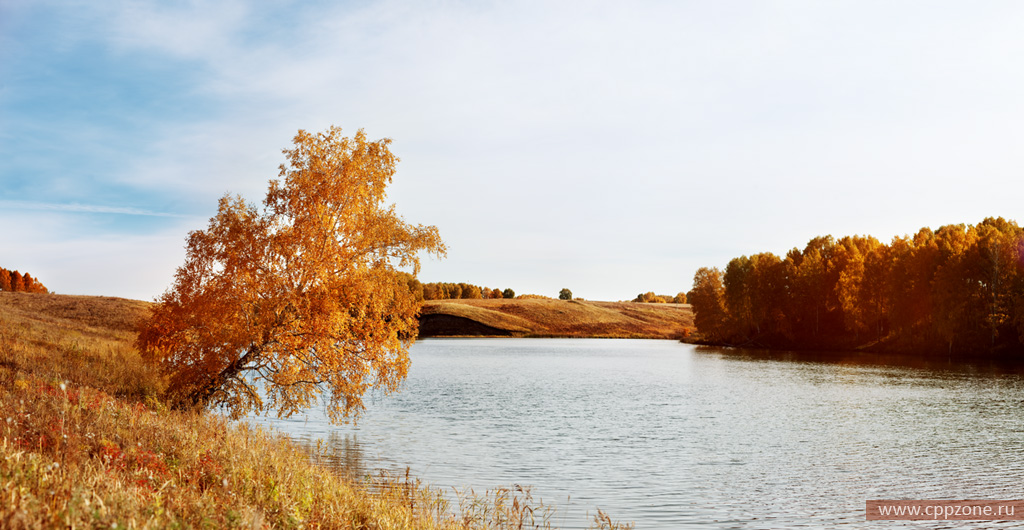Пейзажи - Осенний пейзаж - Дерево свисает над водой
