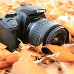 Предметная съемка - Стоковая фотография - Canon EOS400D