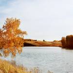 Один день в раю (фотосессия в полях) - Живописный пейзаж с деревом над водой