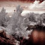 Инфракрасная фотография - Лесное озеро