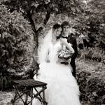 Жених и невеста у дерева