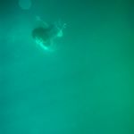 Художественная фотография - Под водой